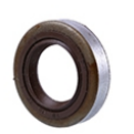 09 oil seal