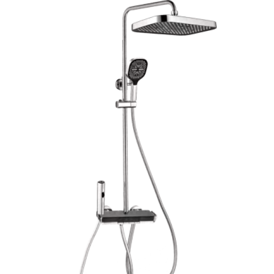 Shower head F50506