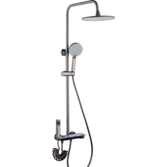Shower head F50517Q