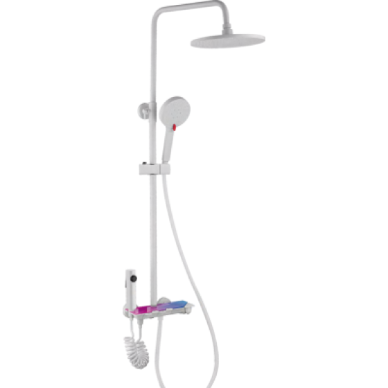 Shower head F50517W
