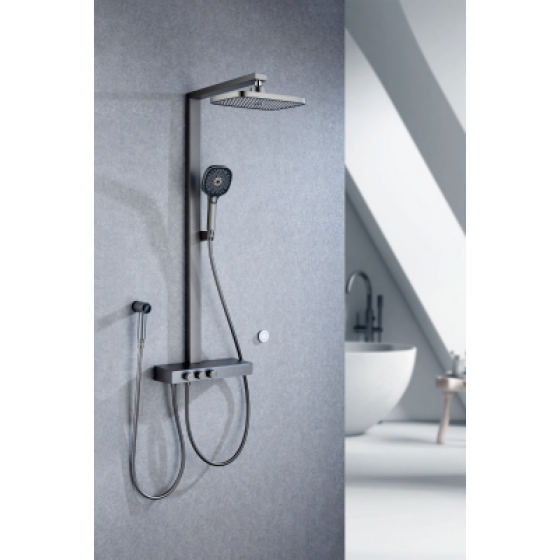 Shower head F50612Q
