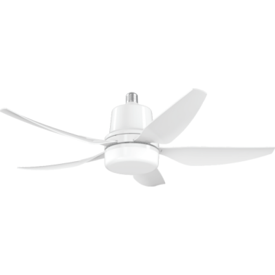 Lamp fan WSD-F51
