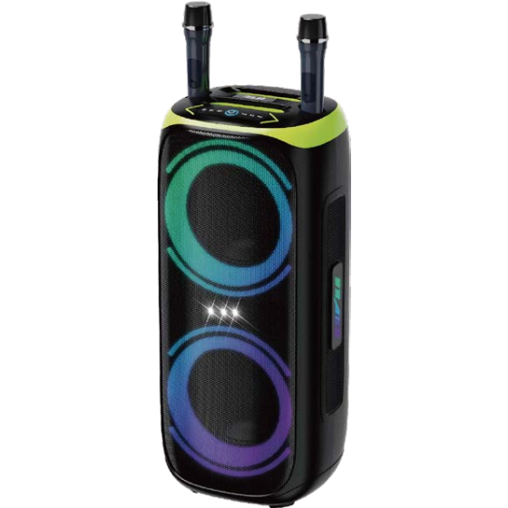 Speaker KOLAV - D2641