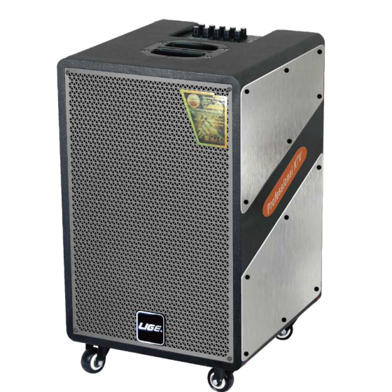Speaker LIGE - 128