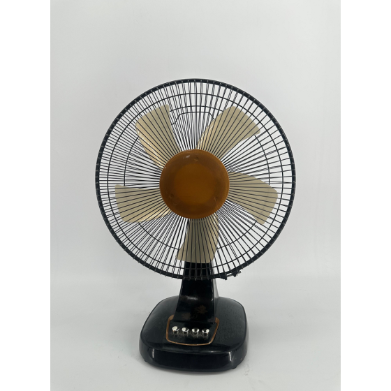 Table fan FT-1613